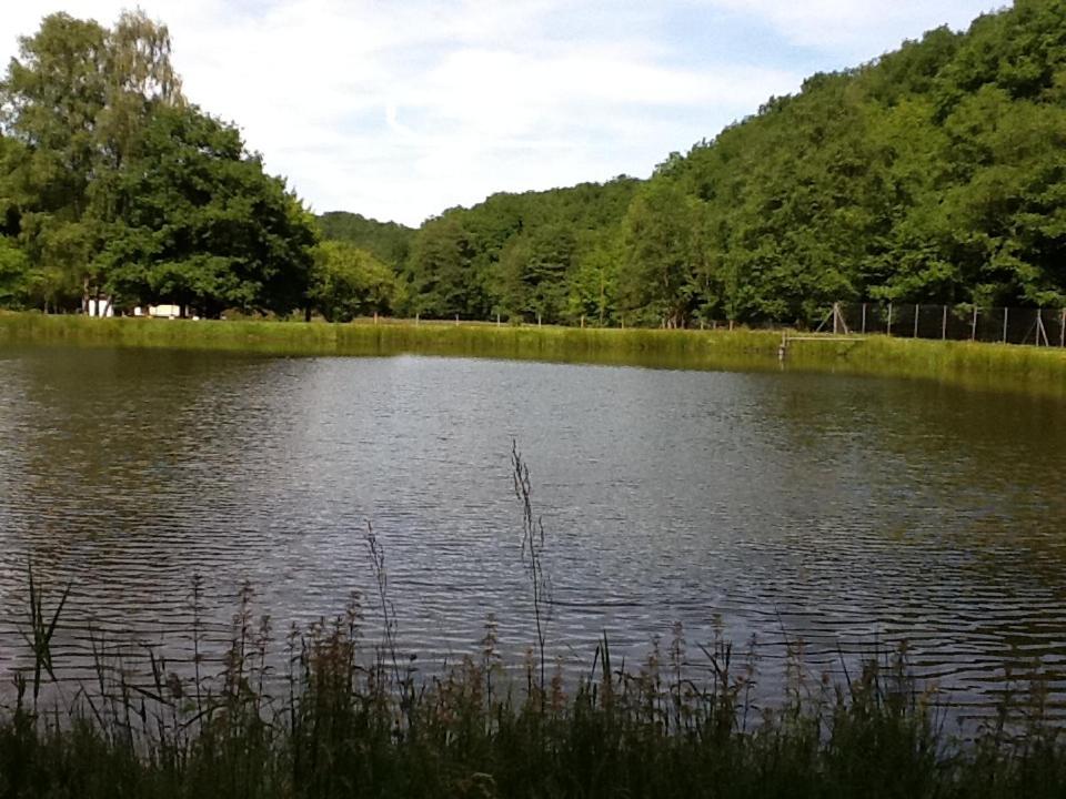 Chalet De Luve Vireux-Wallerand Eksteriør bilde
