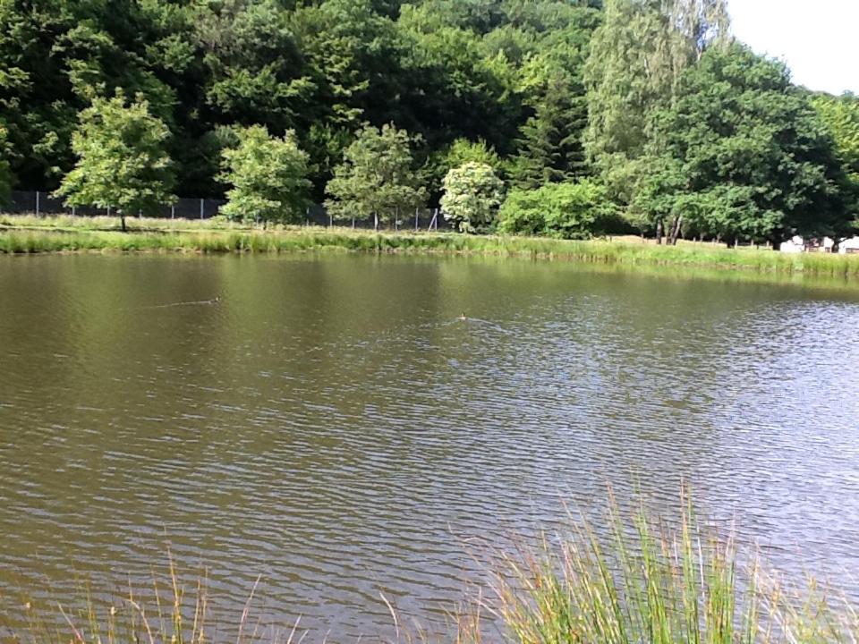 Chalet De Luve Vireux-Wallerand Eksteriør bilde